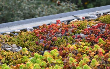 the cost of Birmingham green roof installation