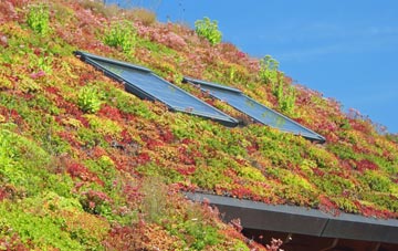 Birmingham living roof systems